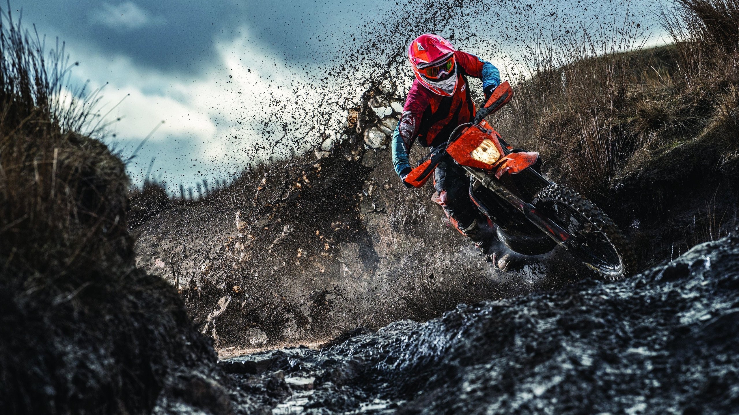 杰克·阿莱克西蝶泳比赛引粉丝刷屏